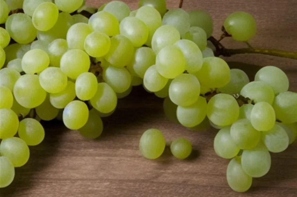 Jak zrobić wino z białych winogron bez drożdży